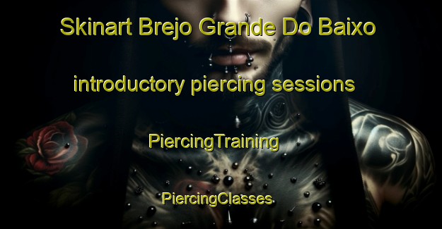 Skinart Brejo Grande Do Baixo introductory piercing sessions | PiercingTraining | PiercingClasses | SkinartTraining-Brazil