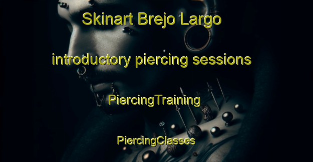 Skinart Brejo Largo introductory piercing sessions | #PiercingTraining #PiercingClasses #SkinartTraining-Brazil