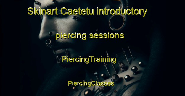 Skinart Caetetu introductory piercing sessions | PiercingTraining | PiercingClasses | SkinartTraining-Brazil