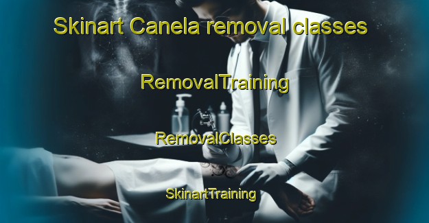 Skinart Canela removal classes | RemovalTraining | RemovalClasses | SkinartTraining-Brazil