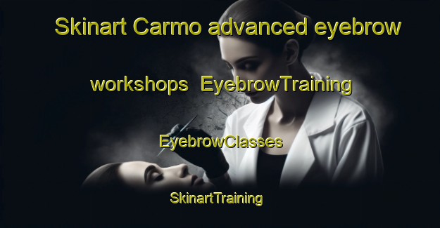 Skinart Carmo advanced eyebrow workshops | EyebrowTraining | EyebrowClasses | SkinartTraining-Brazil