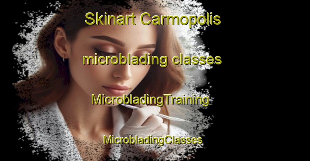 Skinart Carmopolis microblading classes | MicrobladingTraining | MicrobladingClasses | SkinartTraining-Brazil