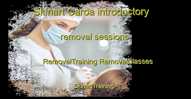 Skinart Caroa introductory removal sessions | #RemovalTraining #RemovalClasses #SkinartTraining-Brazil