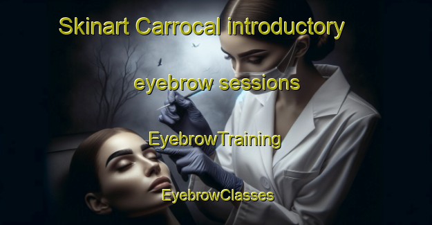 Skinart Carrocal introductory eyebrow sessions | EyebrowTraining | EyebrowClasses | SkinartTraining-Brazil