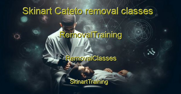 Skinart Cateto removal classes | RemovalTraining | RemovalClasses | SkinartTraining-Brazil