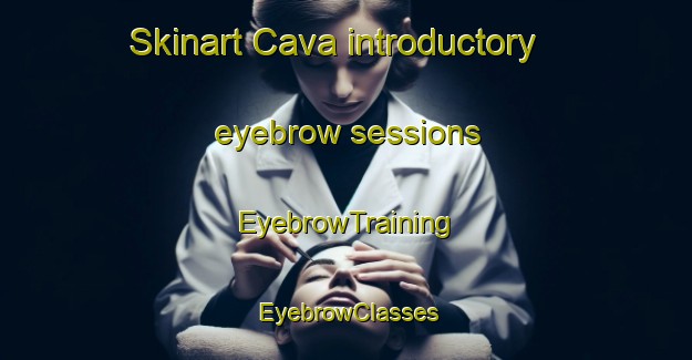 Skinart Cava introductory eyebrow sessions | EyebrowTraining | EyebrowClasses | SkinartTraining-Brazil
