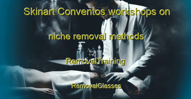 Skinart Conventos workshops on niche removal methods | RemovalTraining | RemovalClasses | SkinartTraining-Brazil
