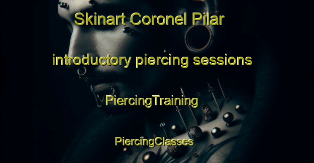 Skinart Coronel Pilar introductory piercing sessions | PiercingTraining | PiercingClasses | SkinartTraining-Brazil
