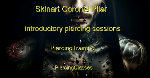 Skinart Coronel Pilar introductory piercing sessions | PiercingTraining | PiercingClasses | SkinartTraining-Brazil