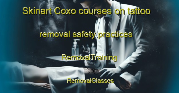 Skinart Coxo courses on tattoo removal safety practices | RemovalTraining | RemovalClasses | SkinartTraining-Brazil