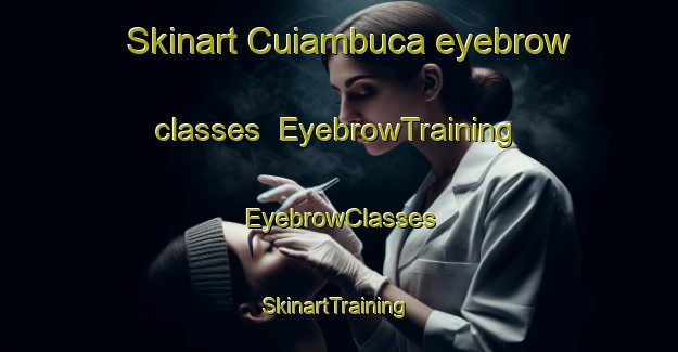 Skinart Cuiambuca eyebrow classes | EyebrowTraining | EyebrowClasses | SkinartTraining-Brazil