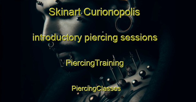 Skinart Curionopolis introductory piercing sessions | PiercingTraining | PiercingClasses | SkinartTraining-Brazil