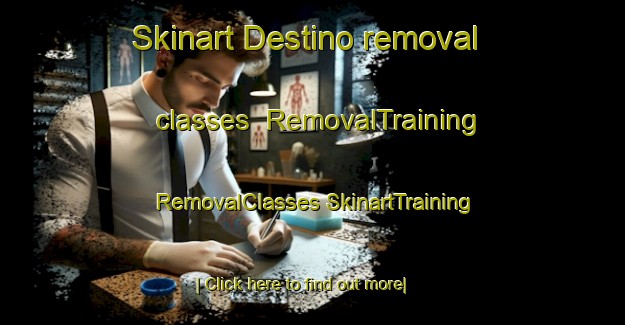 Skinart Destino removal classes | #RemovalTraining #RemovalClasses #SkinartTraining-Brazil