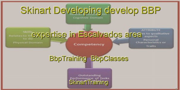 Skinart Developing develop BBP expertise in Escalvados area | BbpTraining | BbpClasses | SkinartTraining-Brazil