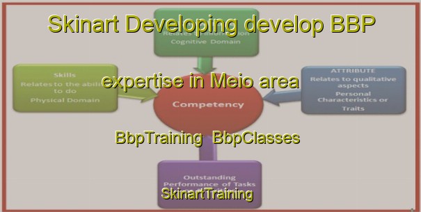 Skinart Developing develop BBP expertise in Meio area | BbpTraining | BbpClasses | SkinartTraining-Brazil