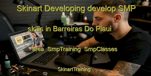 Skinart Developing develop SMP skills in Barreiras Do Piaui area | SmpTraining | SmpClasses | SkinartTraining-Brazil