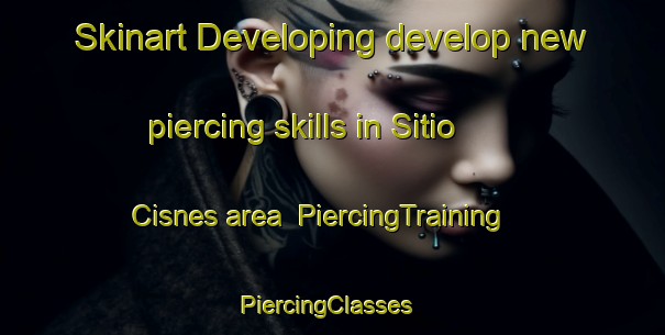 Skinart Developing develop new piercing skills in Sitio Cisnes area | PiercingTraining | PiercingClasses | SkinartTraining-Brazil