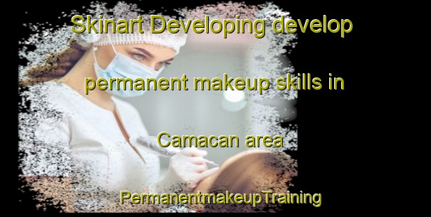 Skinart Developing develop permanent makeup skills in Camacan area | PermanentmakeupTraining | PermanentmakeupClasses | SkinartTraining-Brazil
