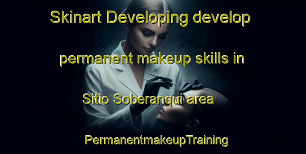 Skinart Developing develop permanent makeup skills in Sitio Soberanqui area | PermanentmakeupTraining | PermanentmakeupClasses | SkinartTraining-Brazil