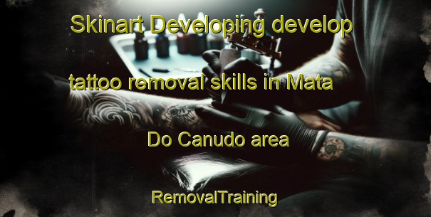 Skinart Developing develop tattoo removal skills in Mata Do Canudo area | RemovalTraining | RemovalClasses | SkinartTraining-Brazil