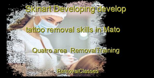 Skinart Developing develop tattoo removal skills in Mato Quatro area | RemovalTraining | RemovalClasses | SkinartTraining-Brazil