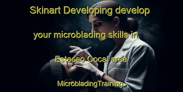 Skinart Developing develop your microblading skills in Estacao Cocal area | #MicrobladingTraining #MicrobladingClasses #SkinartTraining-Brazil