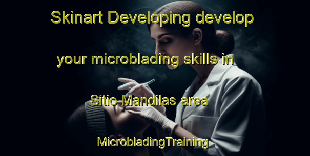 Skinart Developing develop your microblading skills in Sitio Mandilas area | #MicrobladingTraining #MicrobladingClasses #SkinartTraining-Brazil