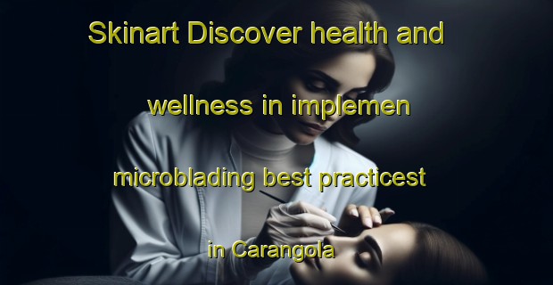 Skinart Discover health and wellness in implemen microblading best practicest in Carangola | MicrobladingTraining | MicrobladingClasses | SkinartTraining-Brazil