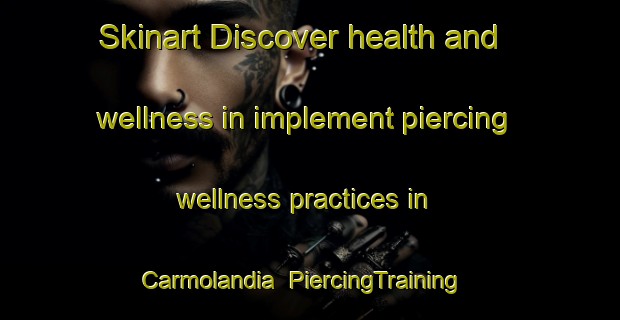 Skinart Discover health and wellness in implement piercing wellness practices in Carmolandia | PiercingTraining | PiercingClasses | SkinartTraining-Brazil