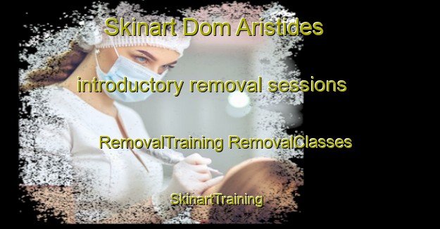 Skinart Dom Aristides introductory removal sessions | #RemovalTraining #RemovalClasses #SkinartTraining-Brazil