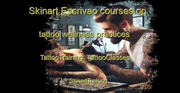 Skinart Escrivao courses on tattoo wellness practices | TattooTraining | TattooClasses | SkinartTraining-Brazil