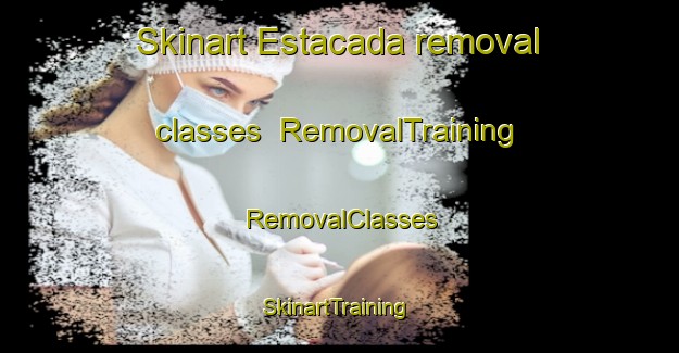 Skinart Estacada removal classes | RemovalTraining | RemovalClasses | SkinartTraining-Brazil