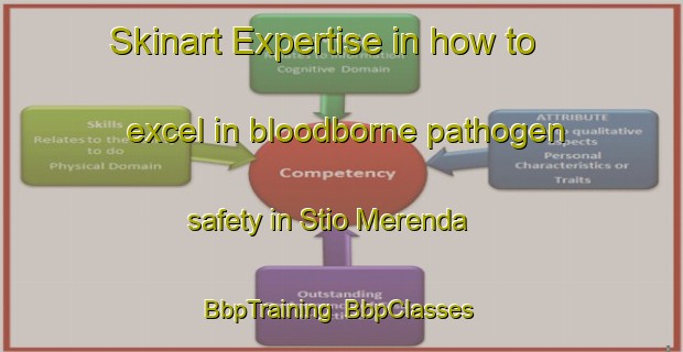 Skinart Expertise in how to excel in bloodborne pathogen safety in Stio Merenda | BbpTraining | BbpClasses | SkinartTraining-Brazil
