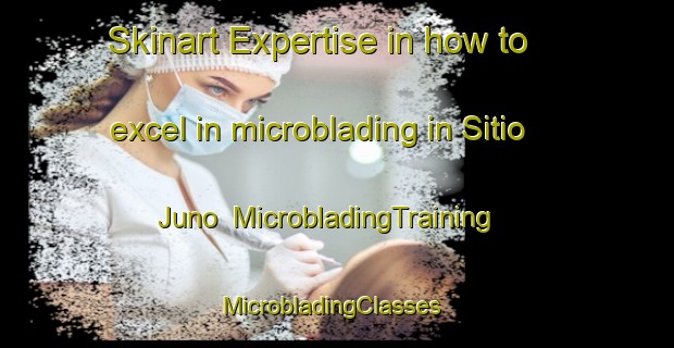 Skinart Expertise in how to excel in microblading in Sitio Juno | MicrobladingTraining | MicrobladingClasses | SkinartTraining-Brazil