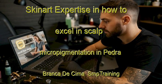 Skinart Expertise in how to excel in scalp micropigmentation in Pedra Branca De Cima | SmpTraining | SmpClasses | SkinartTraining-Brazil