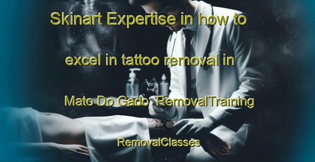Skinart Expertise in how to excel in tattoo removal in Mato Do Gado | RemovalTraining | RemovalClasses | SkinartTraining-Brazil