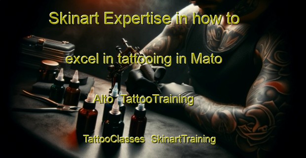Skinart Expertise in how to excel in tattooing in Mato Alto | TattooTraining | TattooClasses | SkinartTraining-Brazil