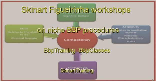 Skinart Figueirinha workshops on niche BBP procedures | BbpTraining | BbpClasses | SkinartTraining-Brazil