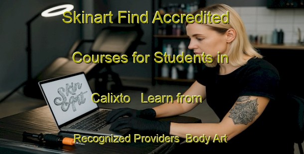 Skinart Find Accredited Courses for Students in Calixto - Learn from Recognized Providers | Body Art Qualification Authority | BAQA-Brazil