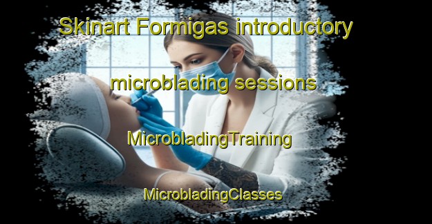 Skinart Formigas introductory microblading sessions | MicrobladingTraining | MicrobladingClasses | SkinartTraining-Brazil