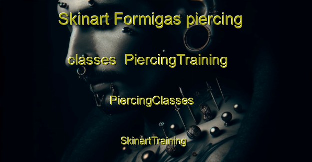 Skinart Formigas piercing classes | PiercingTraining | PiercingClasses | SkinartTraining-Brazil