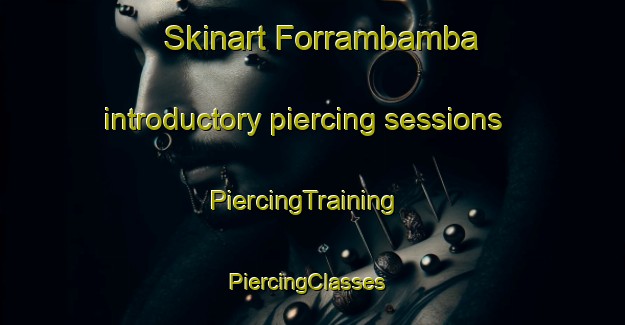 Skinart Forrambamba introductory piercing sessions | PiercingTraining | PiercingClasses | SkinartTraining-Brazil