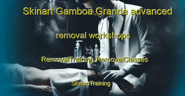 Skinart Gamboa Grande advanced removal workshops | #RemovalTraining #RemovalClasses #SkinartTraining-Brazil