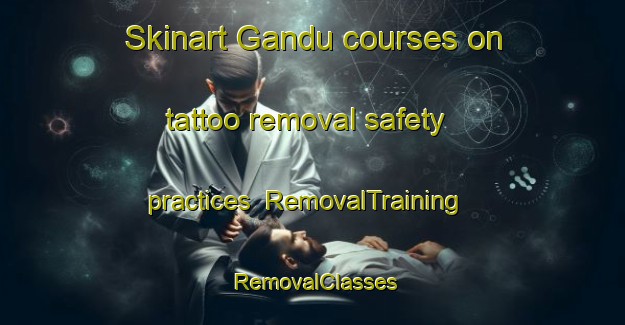 Skinart Gandu courses on tattoo removal safety practices | RemovalTraining | RemovalClasses | SkinartTraining-Brazil