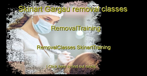 Skinart Gargau removal classes | #RemovalTraining #RemovalClasses #SkinartTraining-Brazil