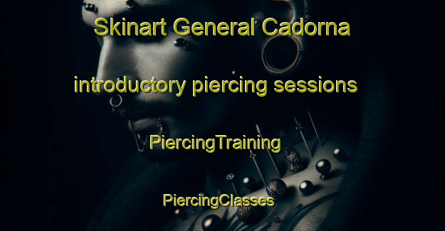 Skinart General Cadorna introductory piercing sessions | PiercingTraining | PiercingClasses | SkinartTraining-Brazil