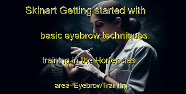 Skinart Getting started with basic eyebrow techniques training in the Hortencias area | EyebrowTraining | EyebrowClasses | SkinartTraining-Brazil