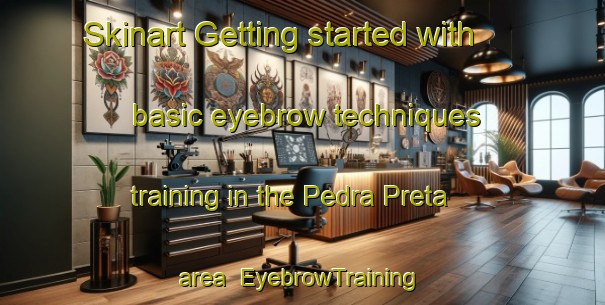 Skinart Getting started with basic eyebrow techniques training in the Pedra Preta area | EyebrowTraining | EyebrowClasses | SkinartTraining-Brazil