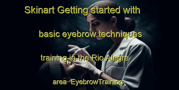 Skinart Getting started with basic eyebrow techniques training in the Rio Alegre area | EyebrowTraining | EyebrowClasses | SkinartTraining-Brazil