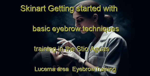 Skinart Getting started with basic eyebrow techniques training in the Stio Aguas Lucema area | EyebrowTraining | EyebrowClasses | SkinartTraining-Brazil